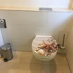 Komplettes Berlin Gaestehaus In Seenaehe 95qm2 Monteurzimmer 度假居 波茨坦