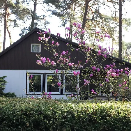 Komplettes Berlin Gaestehaus In Seenaehe 95qm2 Monteurzimmer Holiday home